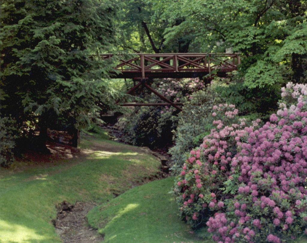 image of bridge going over ravine and small creek in wooded area with flowering rhododendron.